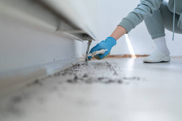 Best Pest Removal Services  in Centerville, UT